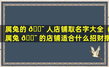 属兔的 🐯 人店铺取名字大全（属兔 🐯 的店铺适合什么招财摆件）